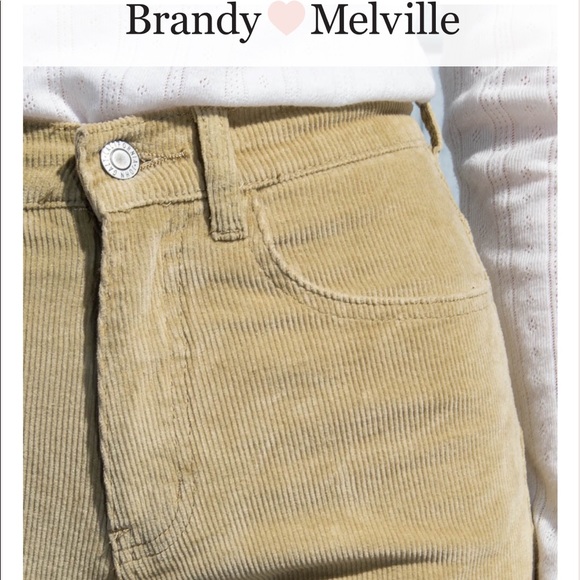Brandy Melville Jane Corduroy Pants - Picture 4 of 6